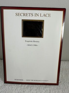 Secrets in Lace Black Lace top stockings 2x